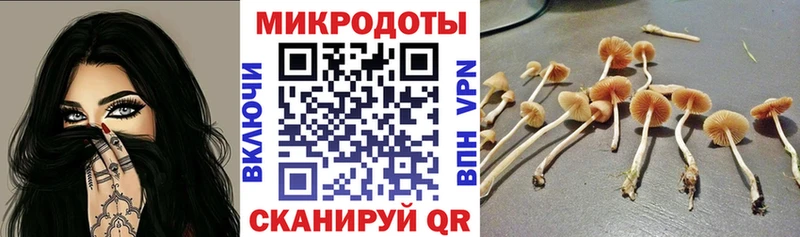 Купить где  Стрежевой  Псилоцибиновые грибы ЛСД 