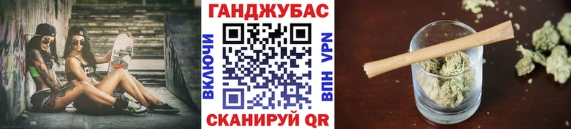 Купить где  Стрежевой  Канабис сатива 